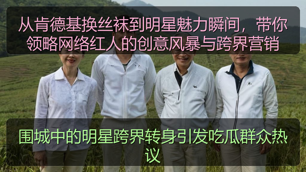 围城中的明星跨界转身引发吃瓜群众热议